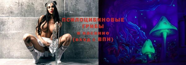 первитин Белокуриха