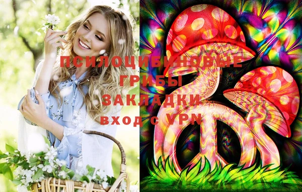 первитин Белокуриха