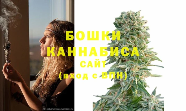 первитин Белокуриха