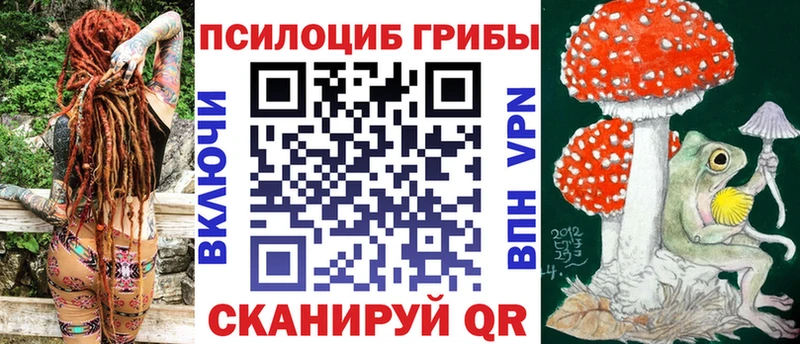 где купить   ссылка на мегу зеркало  Галлюциногенные грибы Cubensis  маркетплейс официальный сайт  Шахунья 